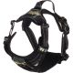 BALOU JUNGLE L - HARNESS